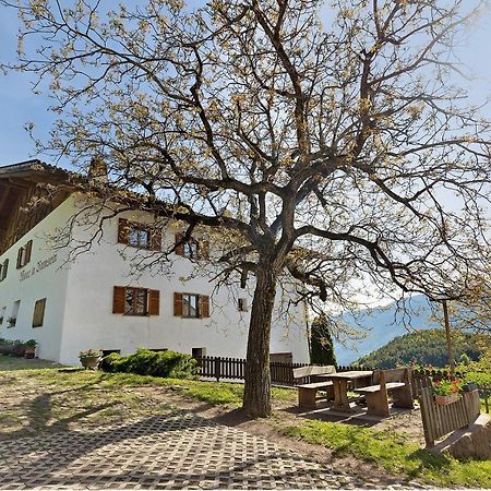 Moar Im Rumsein - Apt Etschblick San Genesio Atesino Exteriér fotografie